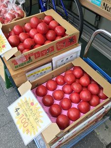 kyoto-office7maeda-tomato
