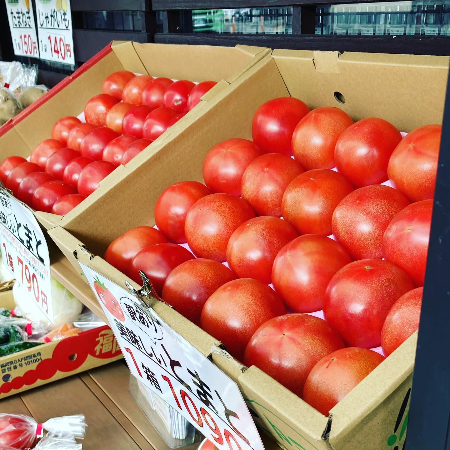 こんにちはマエダ文具店です♪ちょっとやわらかめの美味しそうに熟したトマトがお買い得です！トマトソースやピューレにいいぐらいのやわらか〜いのトマトの箱入りもありますので、ご要望ありましたらお声がけください#マエダ文具店 #前田文具店#梅小路公園 #梅小路京都西駅#京都水族館 #京都鉄道博物館 #七条センター商店街#ホテルエミオン京都 #梅小路ポテル京都 #ザロイヤルパークホテル京都梅小路 #トマト #トマトソース #トマトピューレ #完熟 #トマトも売ってる文具店